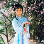 陈晓旭《红楼梦》