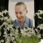 纪念陈晓旭