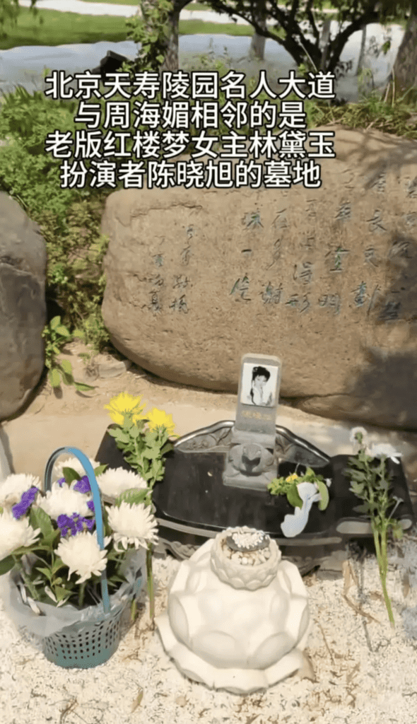 陈晓旭墓地