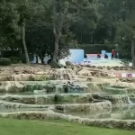 怀念李玟