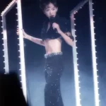 舞台上的梅艳芳