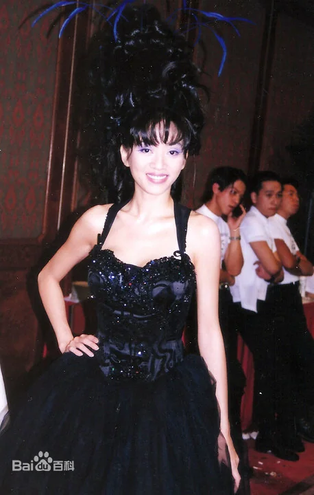 梅艳芳2003年经典金曲演唱会