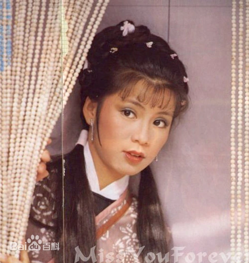 翁美玲参演作品